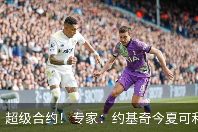 超级合约！专家：约基奇今夏可和掘金签3年2.14亿或4年2.78亿合同
